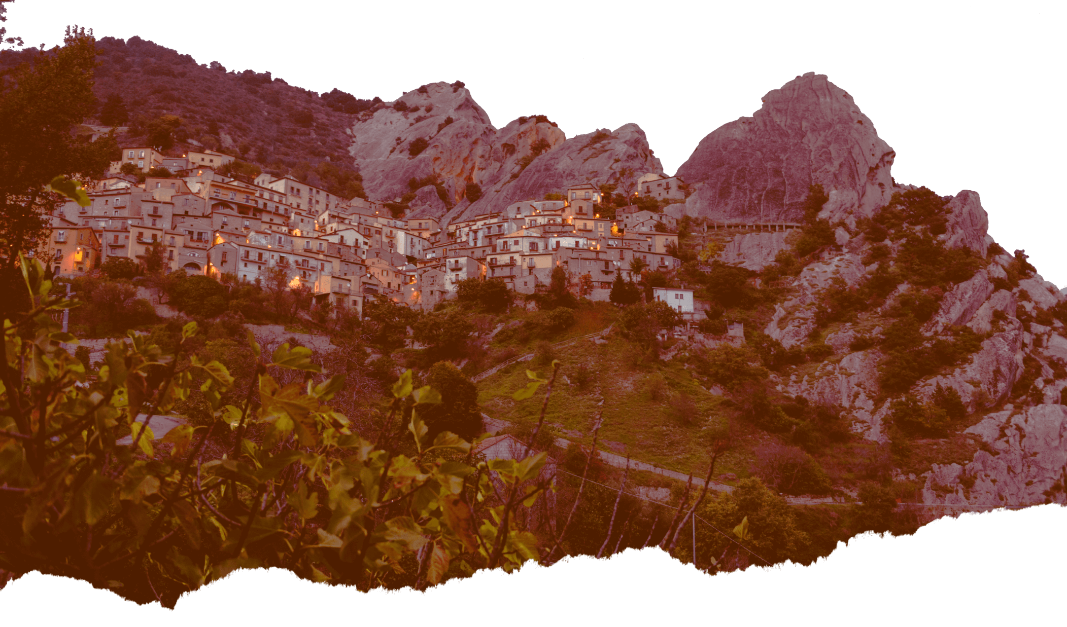 rendi_il img