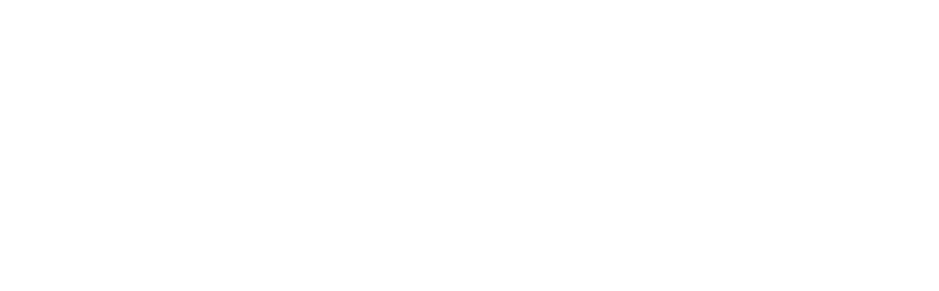 Blossom Logo