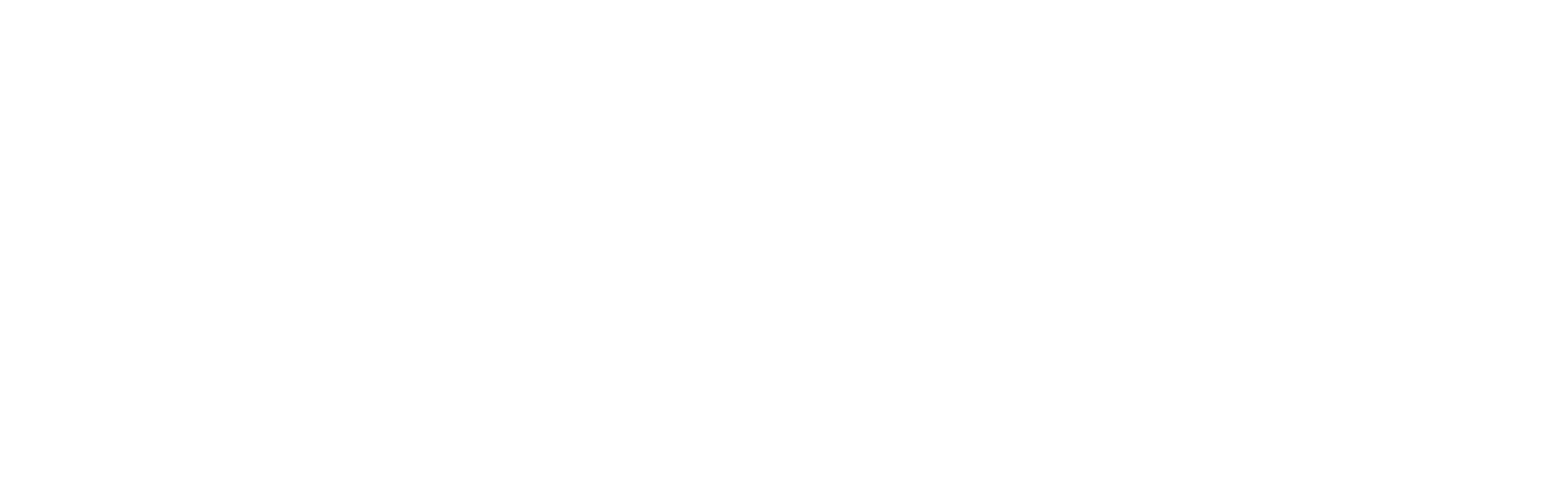Blossom Logo